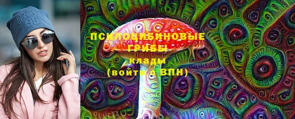 2c-b Надым