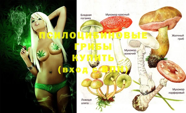 2c-b Надым