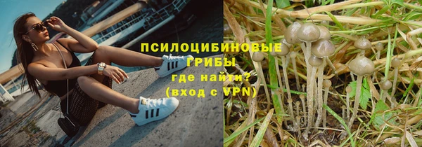 ПСИЛОЦИБИНОВЫЕ ГРИБЫ Новый Уренгой