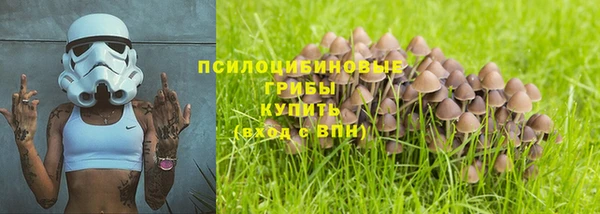 2c-b Надым
