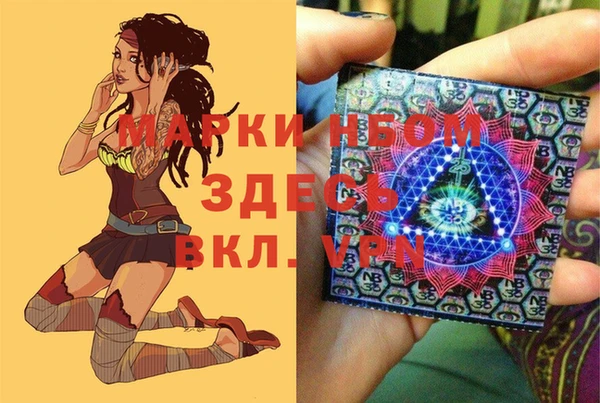 стафф Навашино